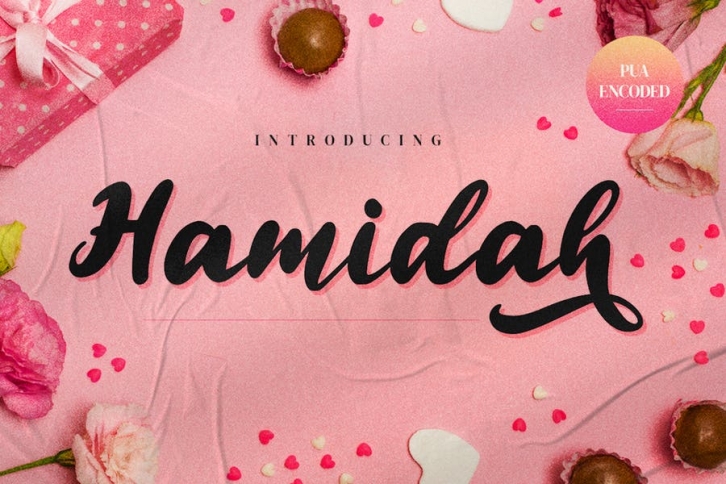 Hamidah - Bold Calligraphy Font Font Download