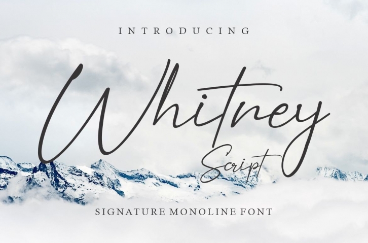 Whitney Script Font Download