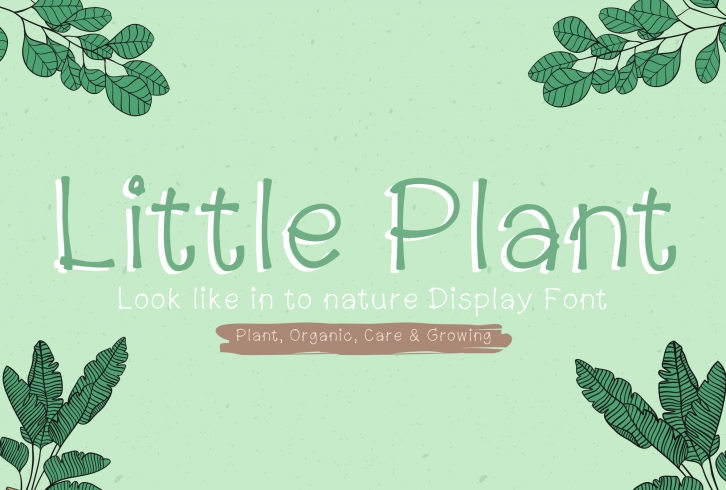 Little Plant Font Download