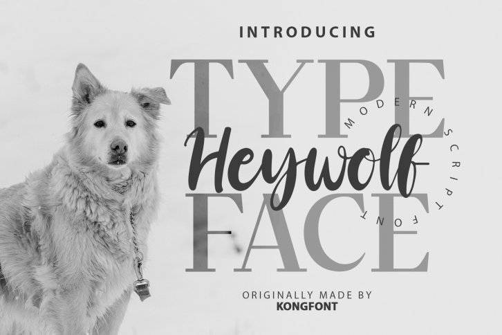 Heywolf Font Download