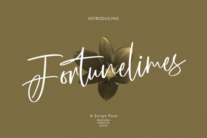 Fortunelimes Script Font Font Download