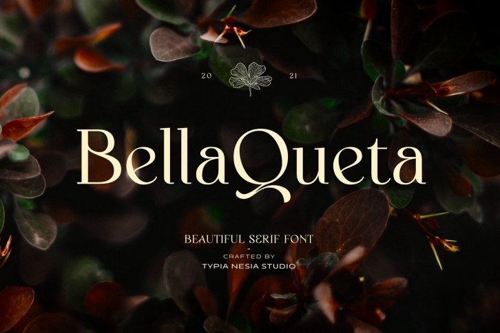 Bella Queta Serif Font Download