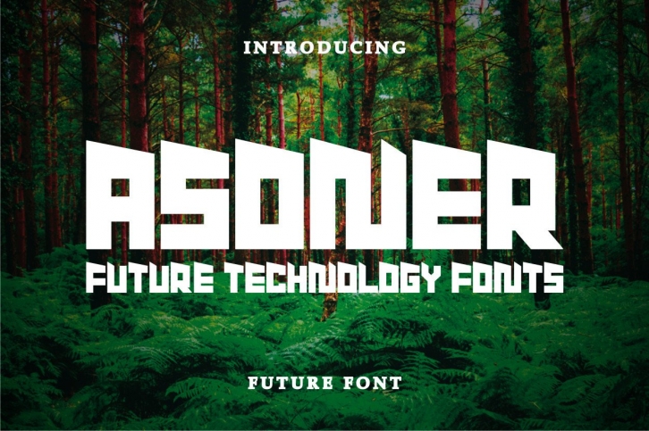 Asoner Font Download
