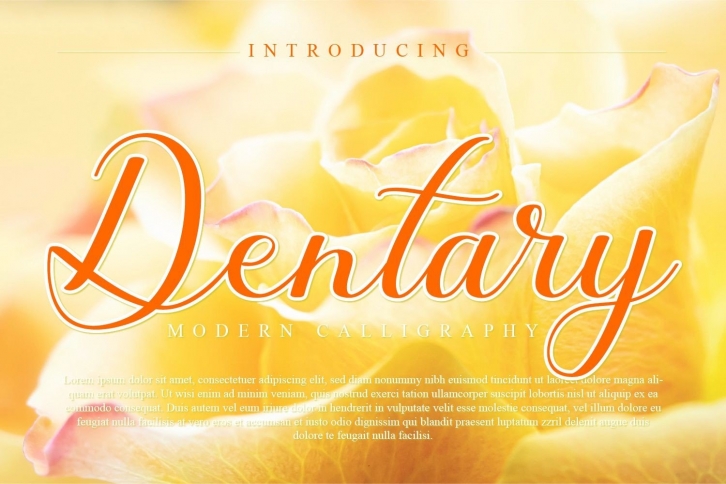 Dentary Font Download