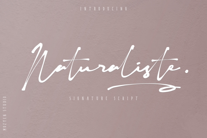 Naturaliste Font Download