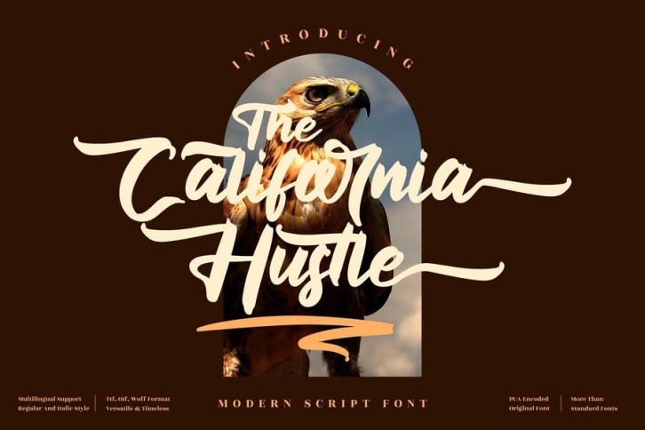 The California Hustle Brush LS Font Download