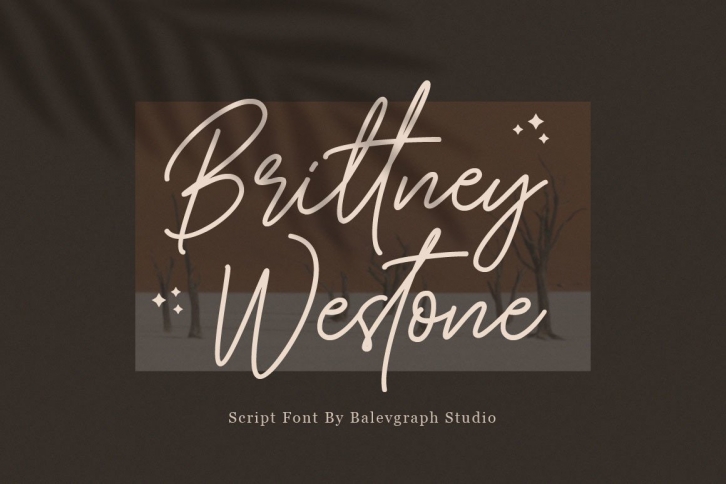 Brittney Westone Font Download