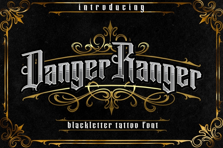 DANGER RANGER Font Download