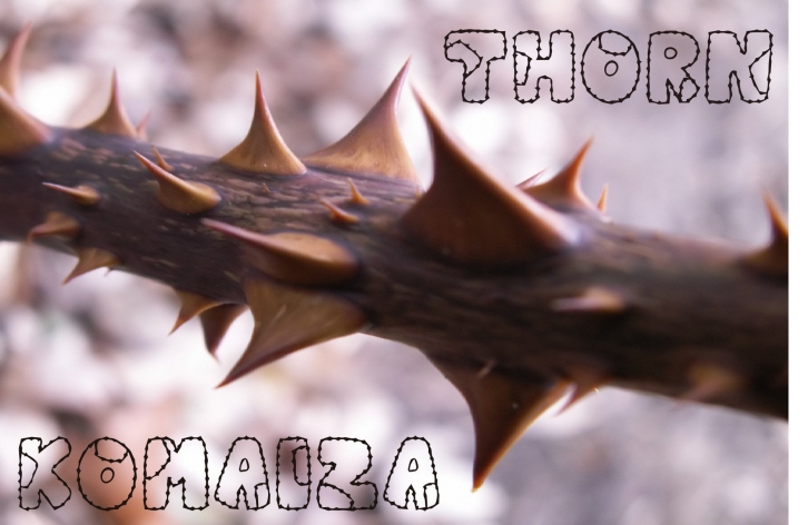 Thorn Komaiza Font Download