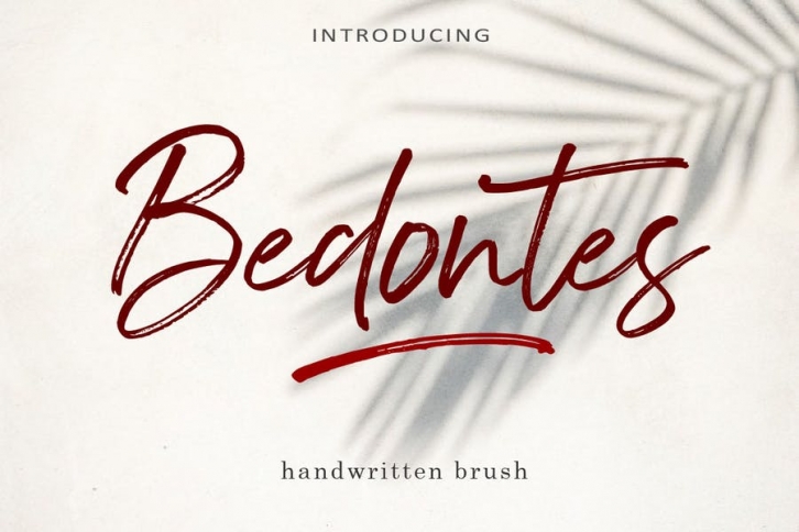 AM Bedontes - Handwritten Brush Font Download