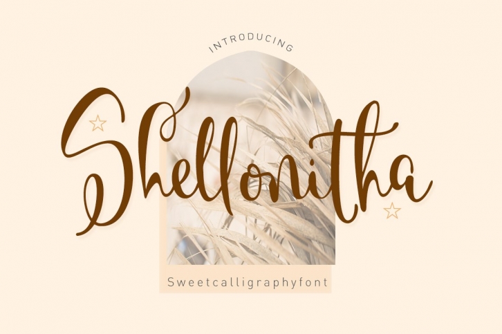 Shellonitha Font Download