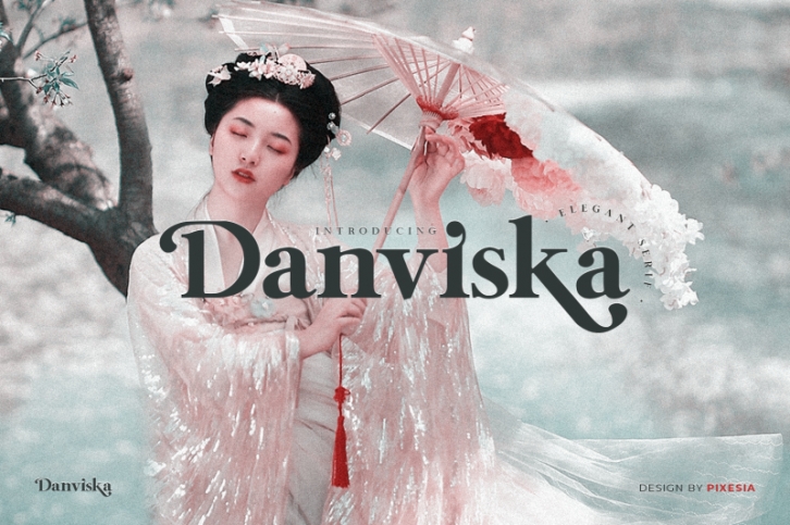 Danviska - An Elegant Modern Serif Font Font Download