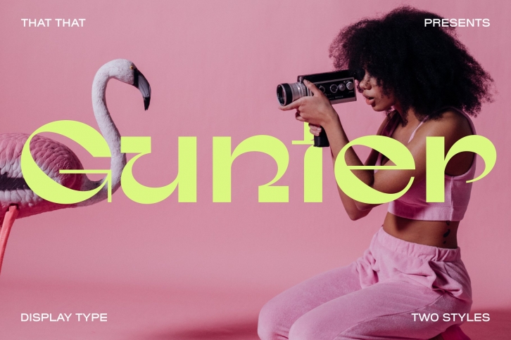 Gunter Display Font Download