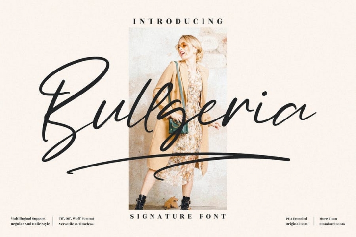 Bullgeria Signature Font LS Font Download