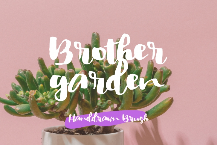 Brother Garden Font Download