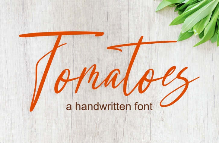 Tomatoes Font Download