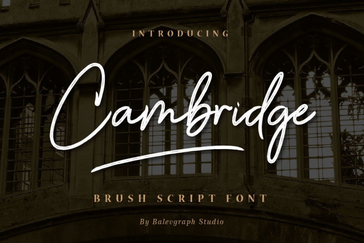 Cambridge Font Download