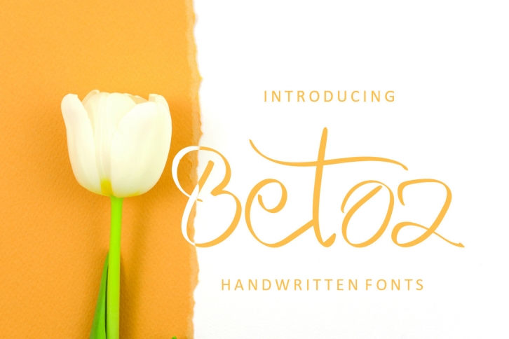 Betoz Font Download