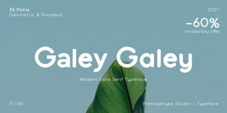 Galey Font Download