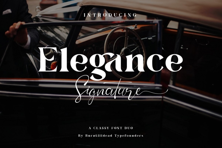 Elegance Signature Font Download