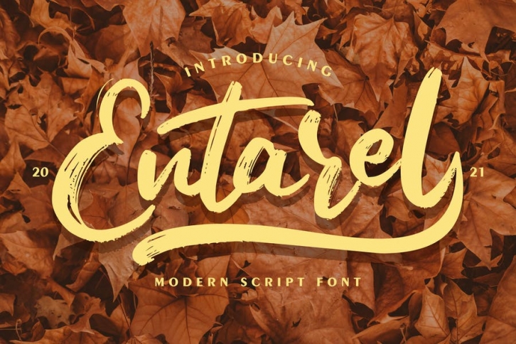 Entarel | Modern Script Font Font Download