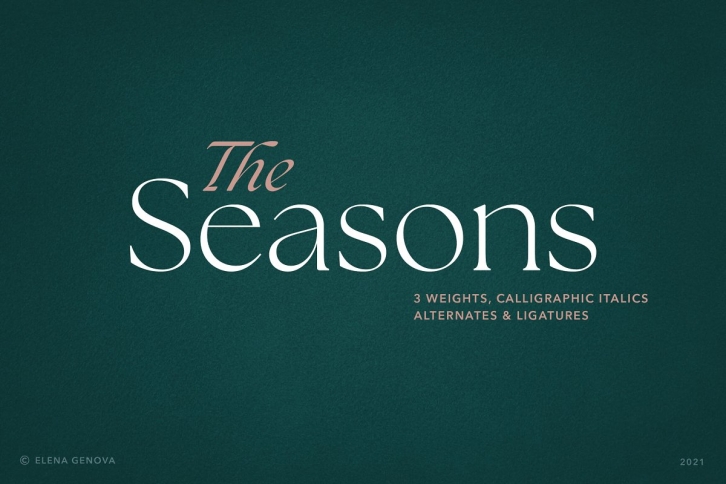 The Seasons Serif Family Font Download