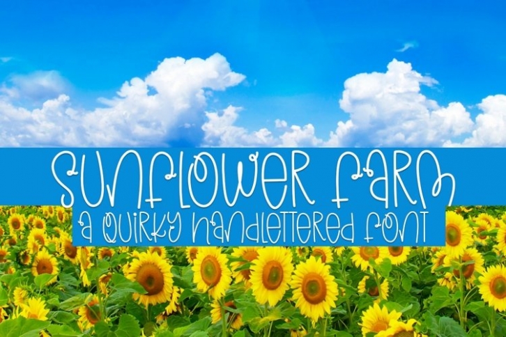 Web Sunflower Farm Font Download