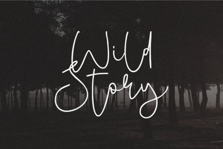 Wild Story Font Download