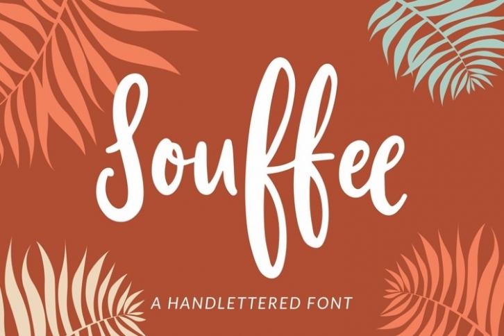 Web Souffee Font Download