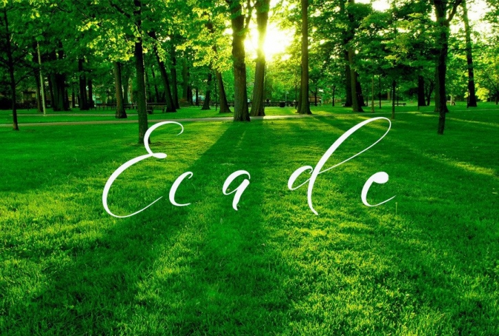 Ecade Font Download