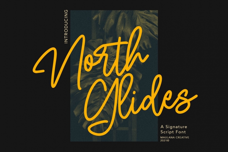 North Glides Signature Script Font Download