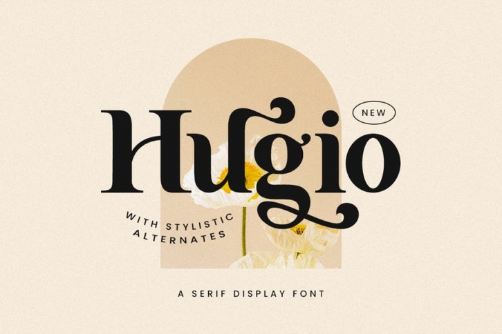 Hugio - Display Font Font Download
