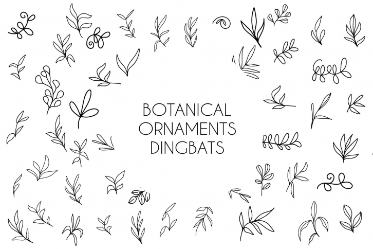 Botanical Ornaments Font Download