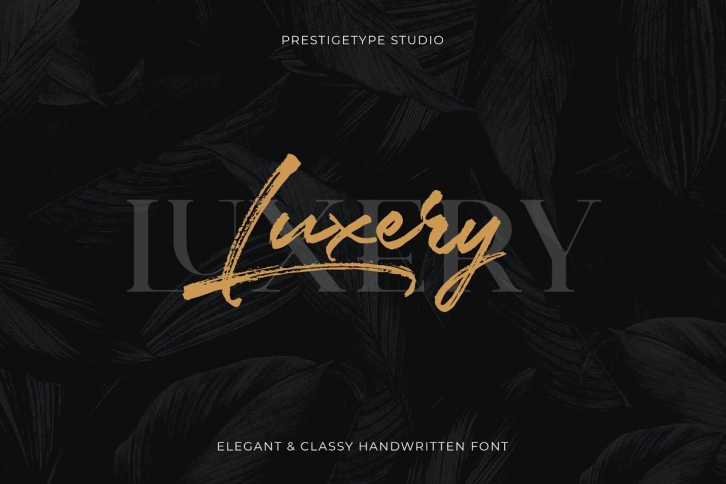 Luxery Classy Handwritten Font Download