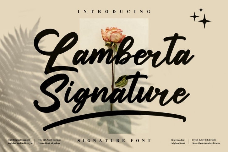 Lamberta Signature Script LS Font Download