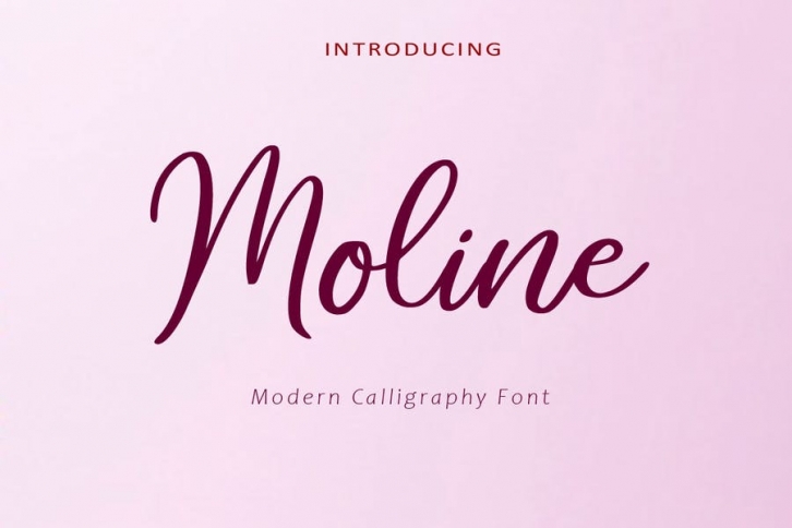 AM Moline - Calligraphy Font Font Download