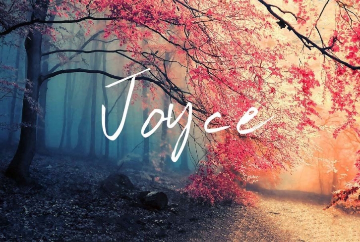 Joyce Font Download