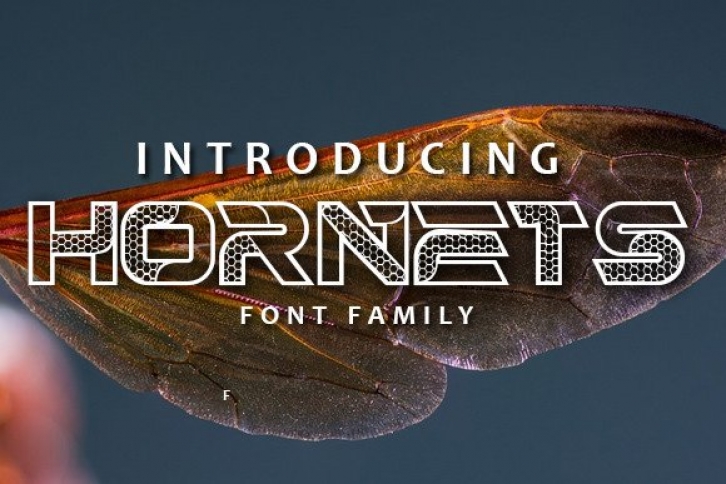 Hornets Font Download