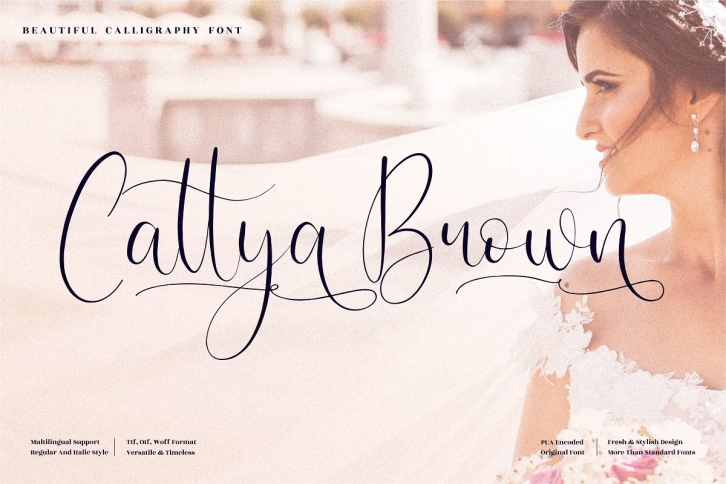 Cattya Brown Beautiful Calligraphy Font Download