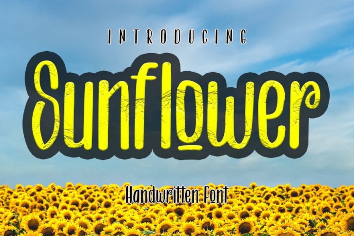 Sunflower Font Download