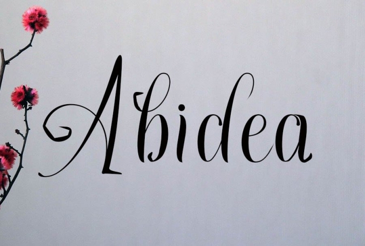 Abidea Font Download