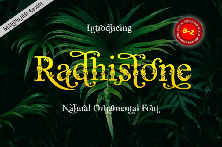 Radhistone Font Download