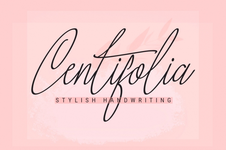 Centifolia is a lovely Font Download