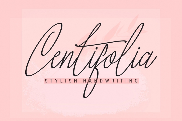 Centifolia Font Download