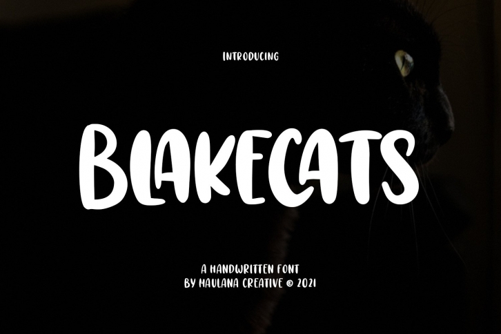 Blakecats Handwritten Font Download