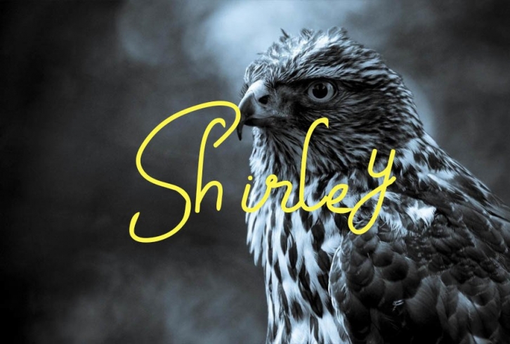 Shirley Font Download