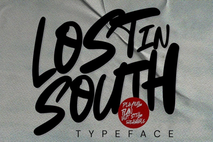 AN Lost in South - Natural Brush Font Font Download
