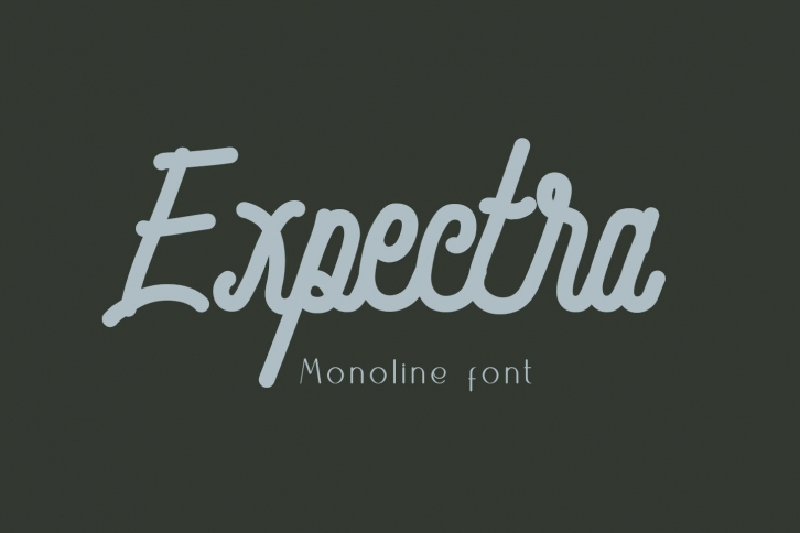 Expectra monoline embroidery Font Download