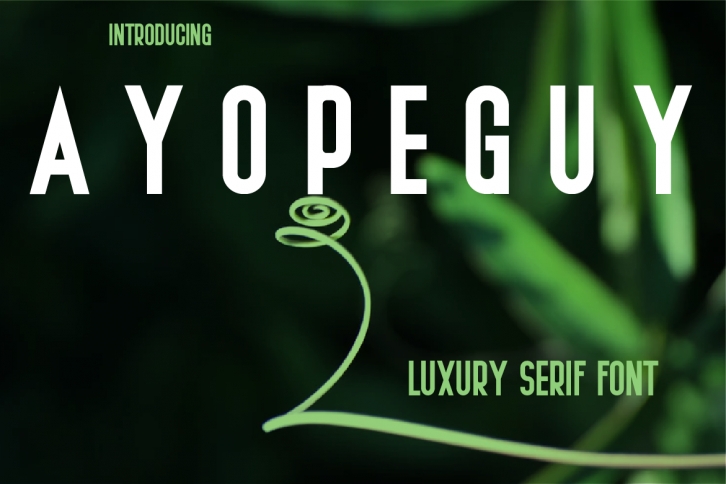 Ayopeguy Font Download