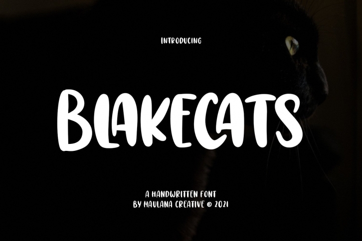 Blakecats Font Download